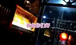 夜色dj视频在线观看,沉浸式视听盛宴，尽在指尖流转