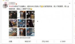 炮哥与焦俊艳最新爆料,揭秘娱乐圈幕后真相